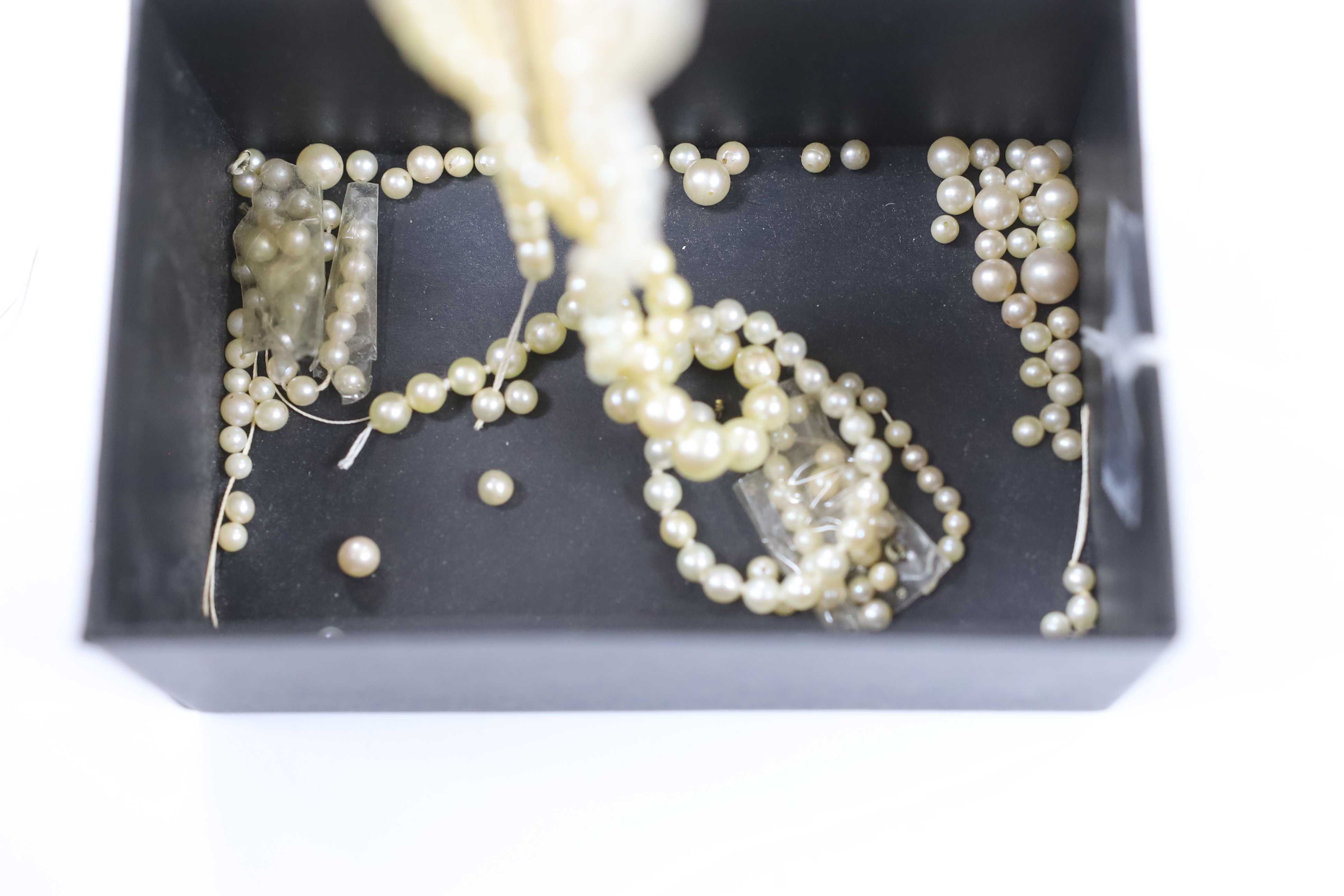 Various cultured pearls necklaces, lacking clasps and some loose pearls.